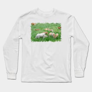 Love Cows Long Sleeve T-Shirt
